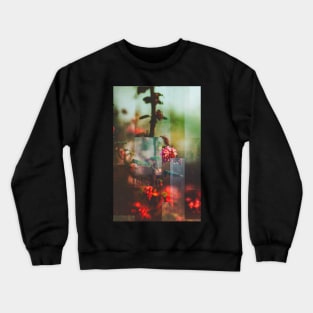 Never Did Crewneck Sweatshirt